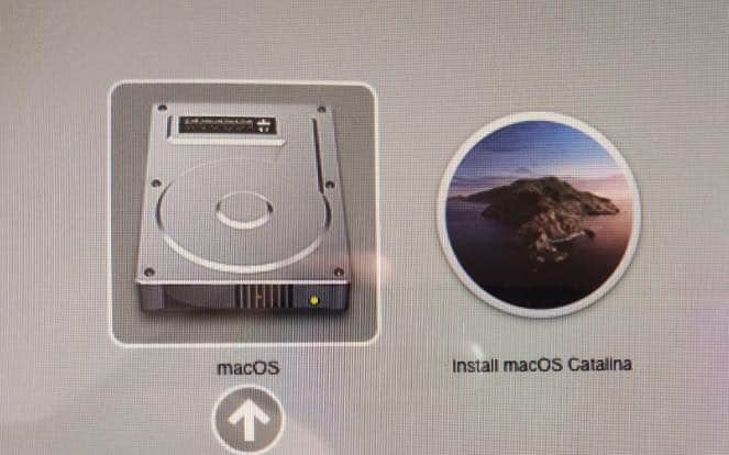 macOS Catalina USB windows