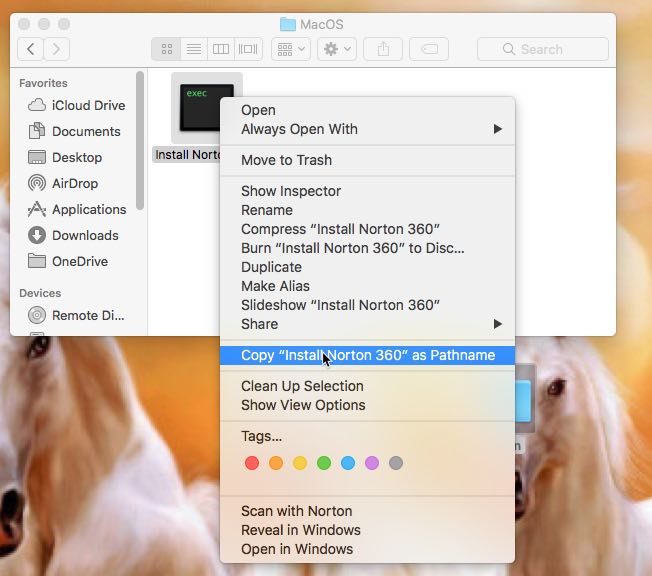 Norton 360 mac download Norton 360 mac download