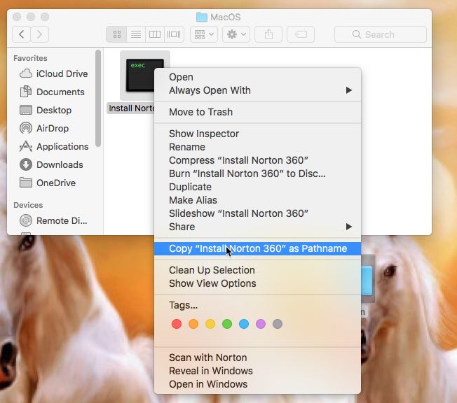 Install Norton 360 pathname macOS
