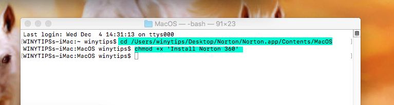 make Norton macOS executable