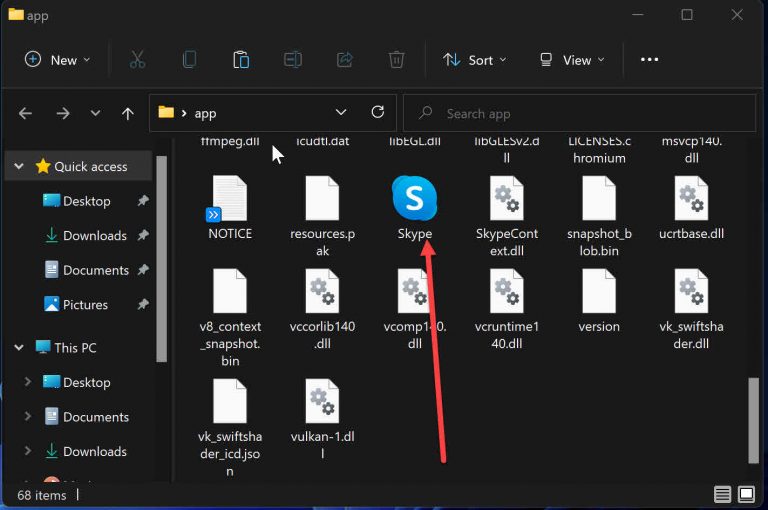 Skype portable installer